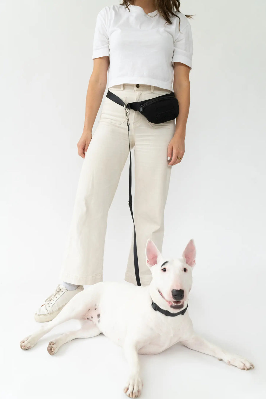 Springer Black Sling Bag + Dog Lead Sticks & Socks Dog Lifestyle Store