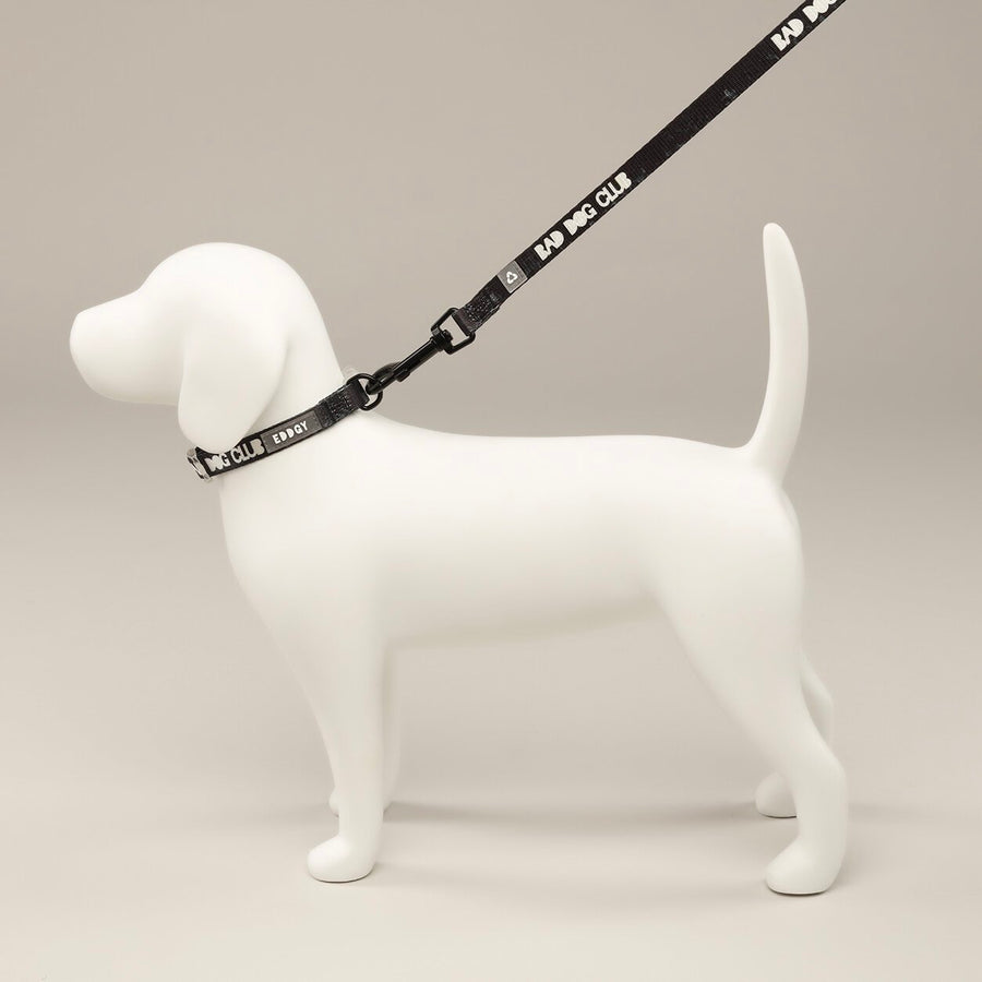 EDDGY 100% Recycled Bad Dog Club Dog Lead Sticks & Socks Dog Store