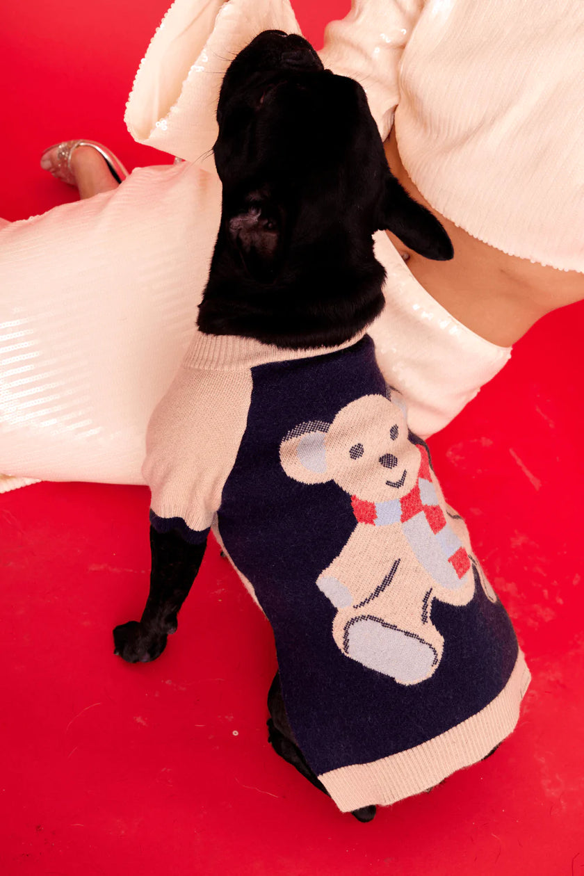 Maxbone Teddy Raglan Christmas Dog Jumper Sticks & Socks Dog Shop Ancoats