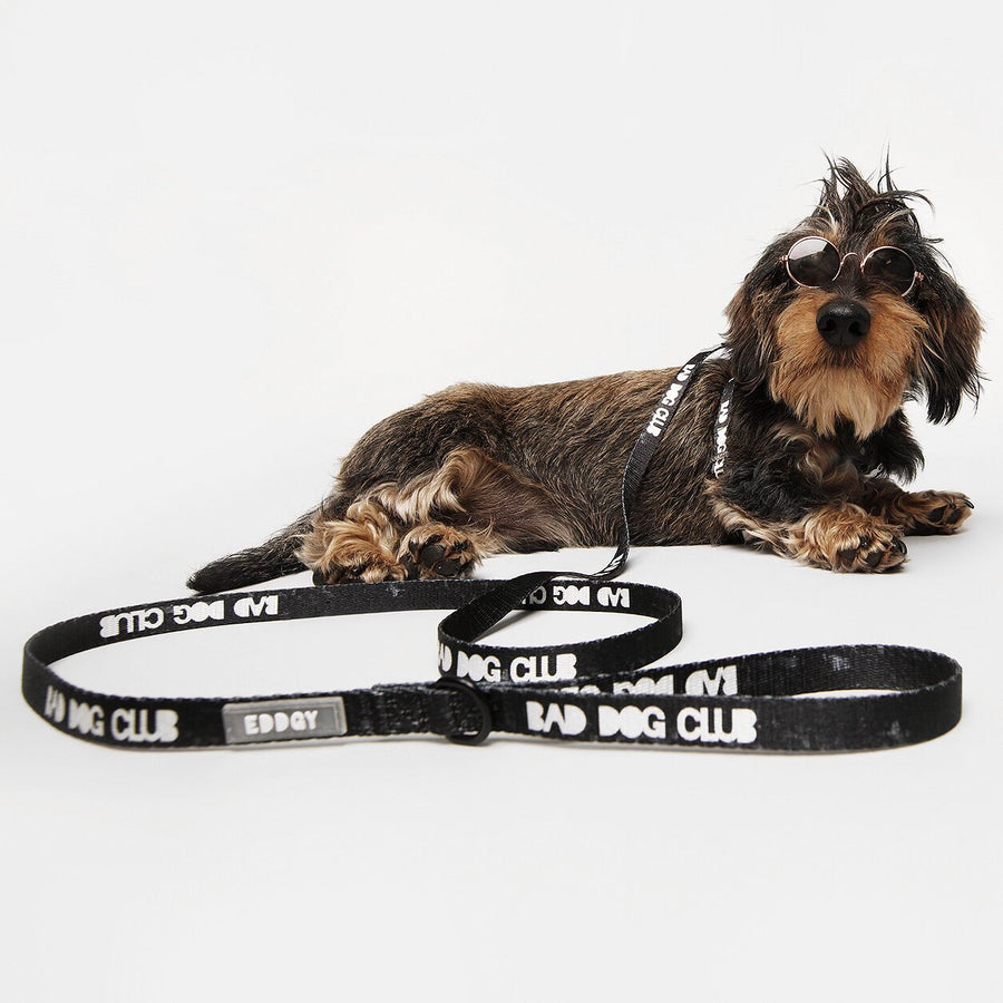 EDDGY 100% Recycled Bad Dog Club Dog Lead Sticks & Socks Dog Store