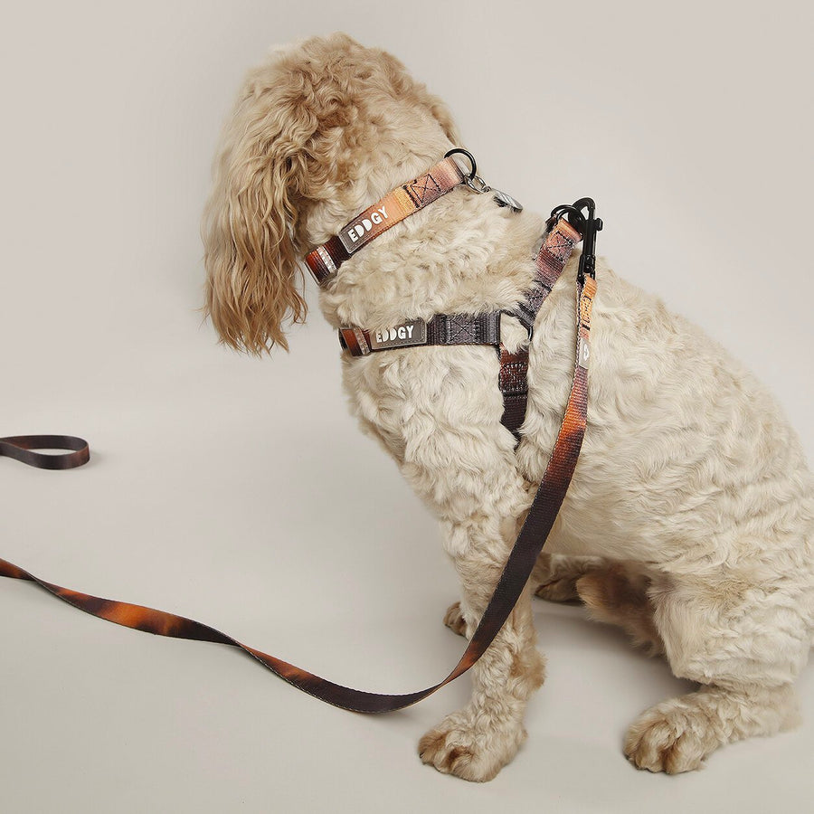 EDDGY 100% Recycled Bruce Dog Harness