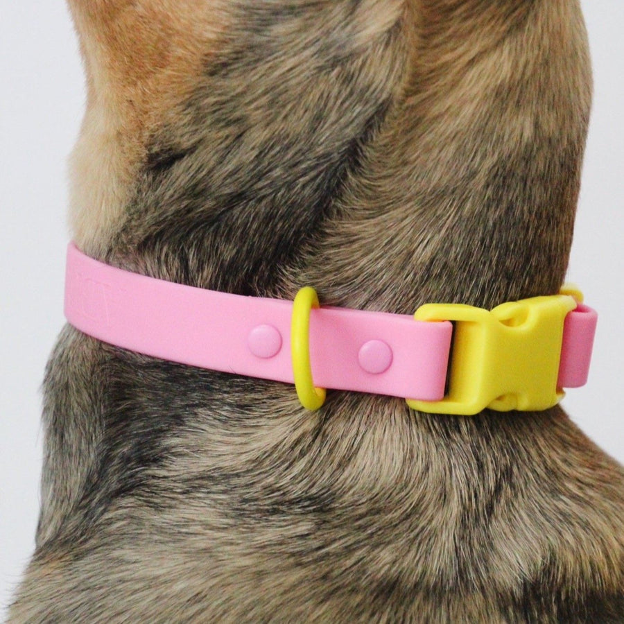 Pink Waterproof Dog Collar
