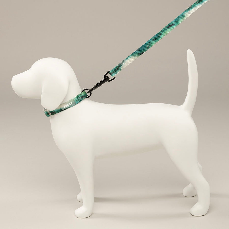 EDDGY 100% Recycled Maximus Dog Collar Sticks & Socks Dog Shop