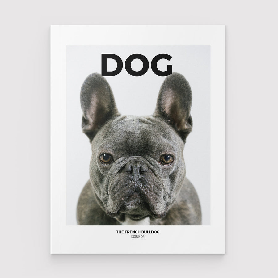 Dog Mag Magazine The French Bulldog Sticks & Socks 