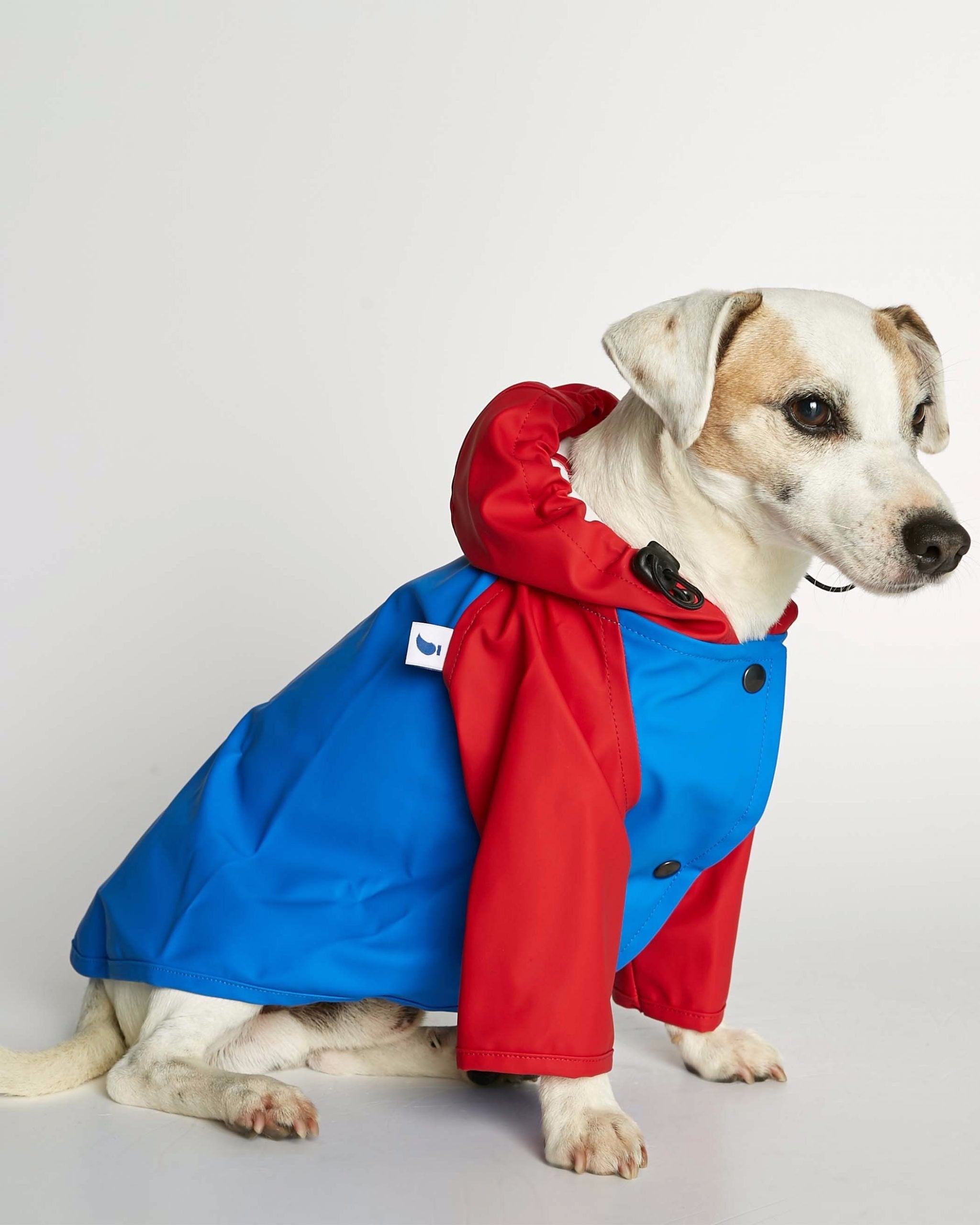 West coast rainwear for dogs online