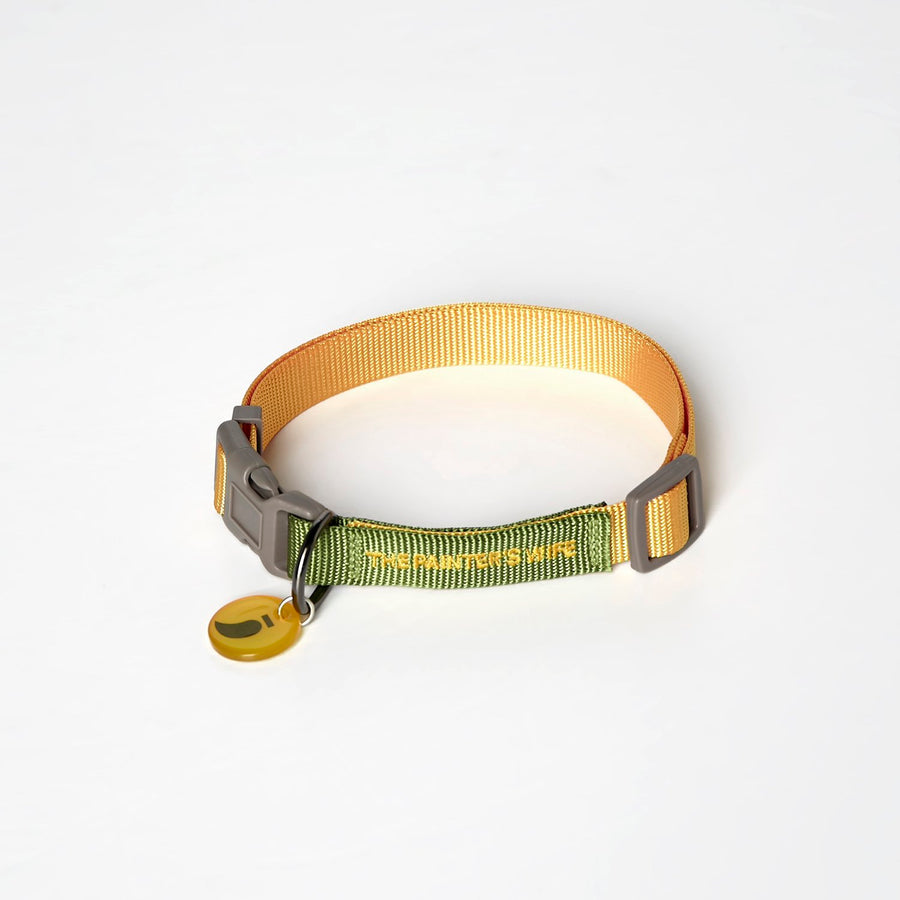 The Painter's Wife Sonia Dog Collar