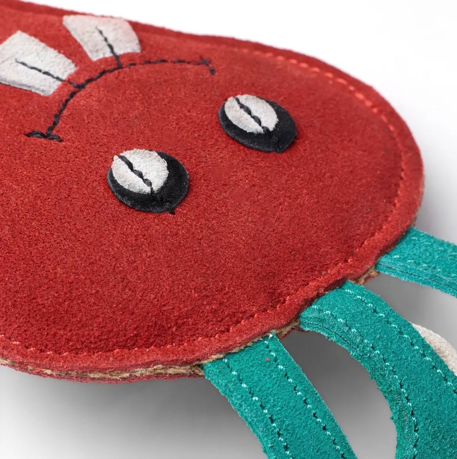 Green & Wilds Terry the Turnip Eco Dog Toy