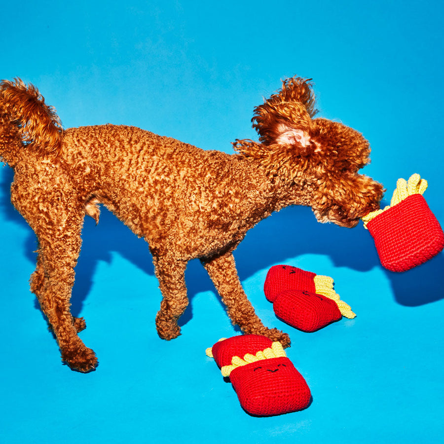 Ware of the Dog French Fries Dog Toy