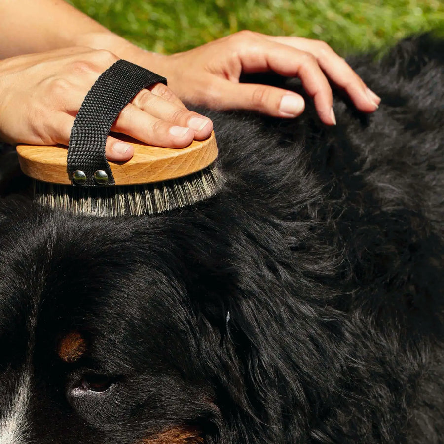 Natural Dog Massage Brush Sticks & Socks 