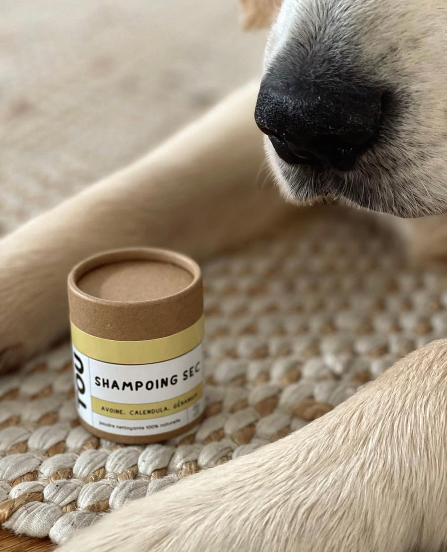 Organic Dry Shampoo for Dogs Sticks & Socks