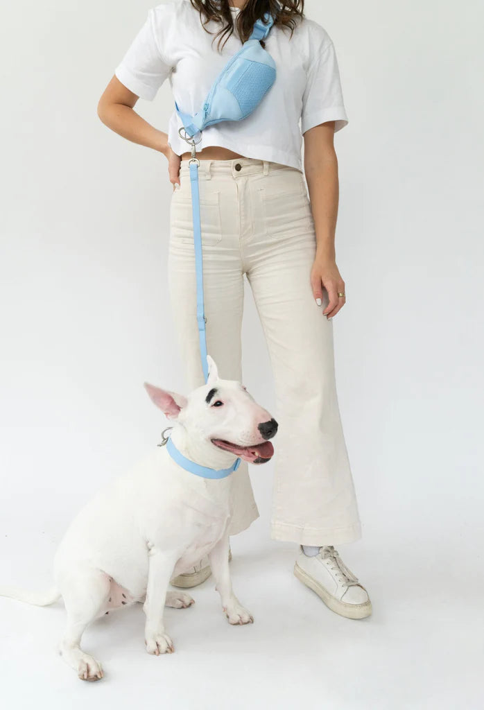 Springer Sky Blue Sling Bag + Dog Lead Sticks & Socks Dog Lifestyle Store 
