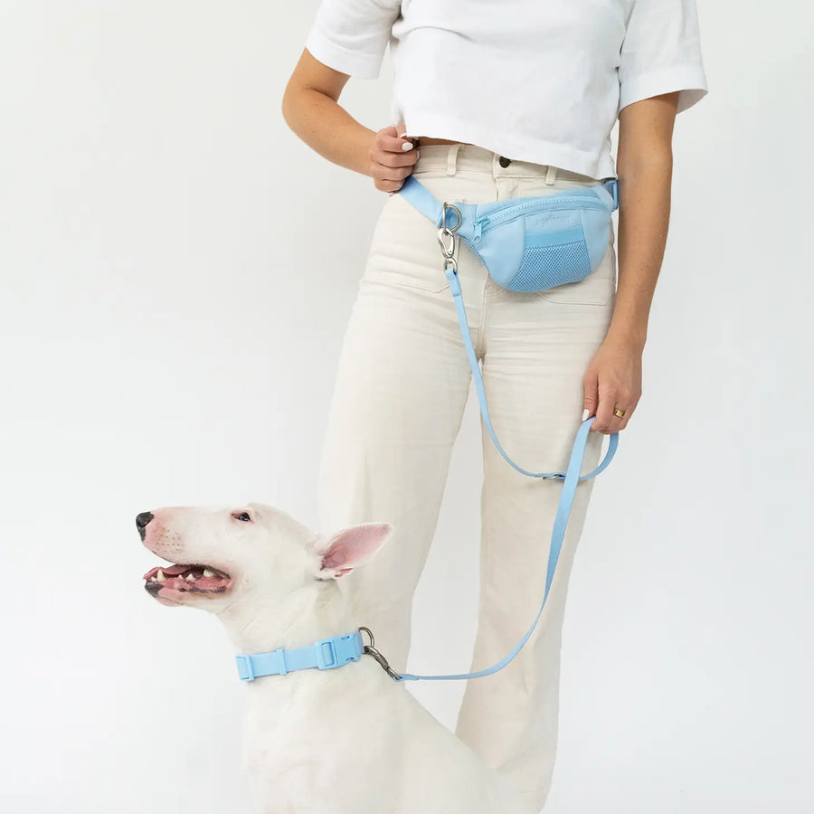 Springer Sky Blue Sling Bag + Dog Lead Sticks & Socks Dog Lifestyle Store 