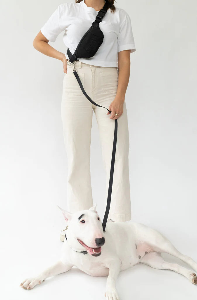 Springer Black Sling Bag + Dog Lead Sticks & Socks Dog Lifestyle Store