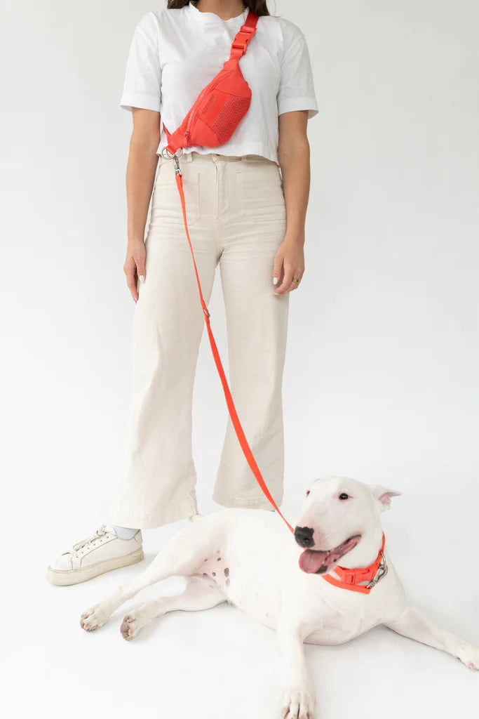 Springer Poppy Red Sling Bag + Dog Lead Sticks & Socks Dog Lifestyle Store 