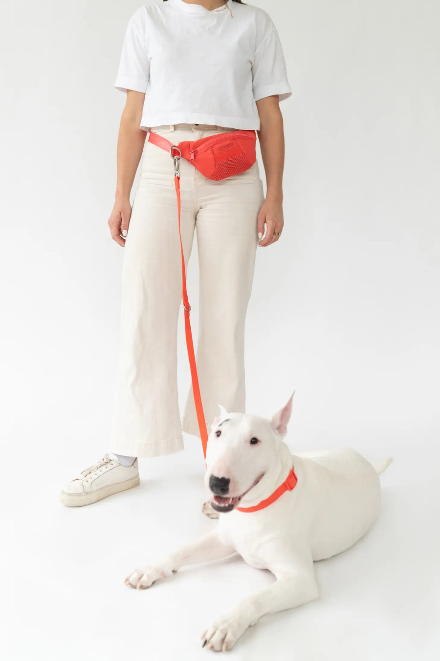 Springer Poppy Red Sling Bag + Dog Lead Sticks & Socks Dog Lifestyle Store 