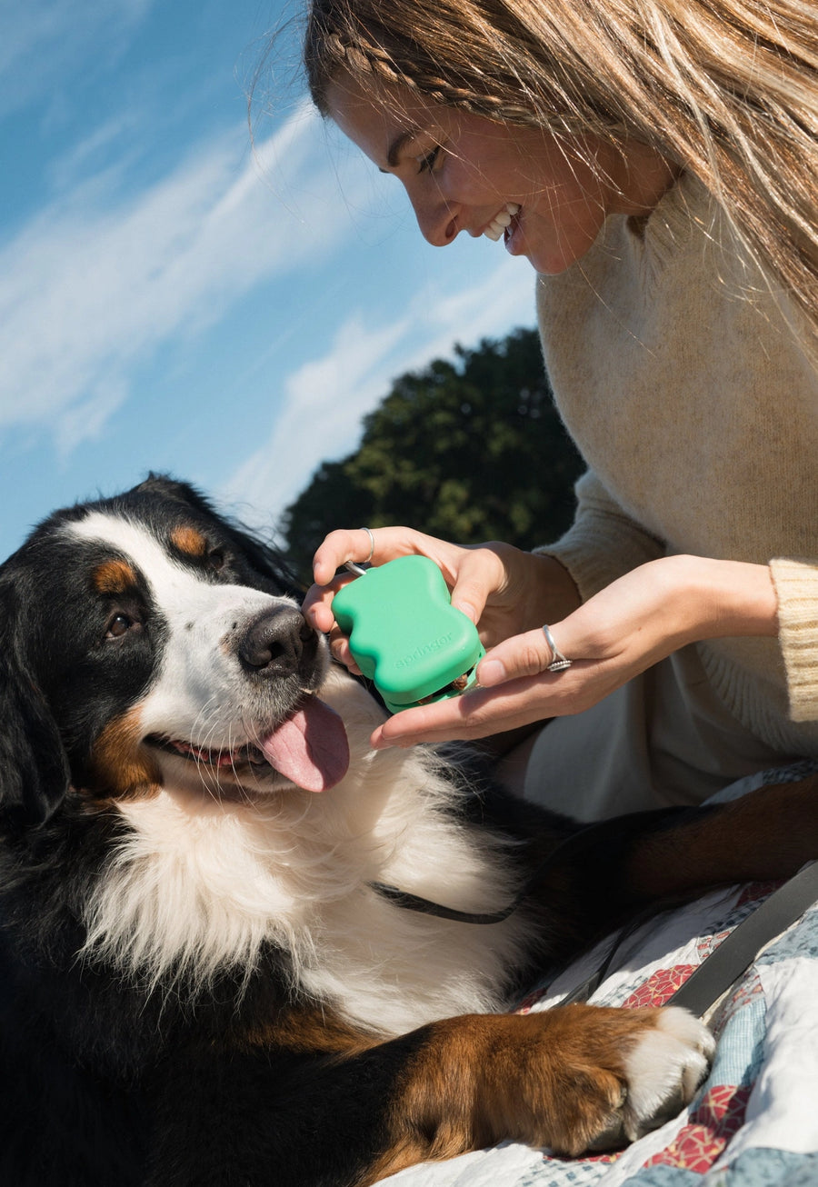Springer Silicone Dog Treat Dispenser in Green Sticks & Socks Dog Lifestyle Store 