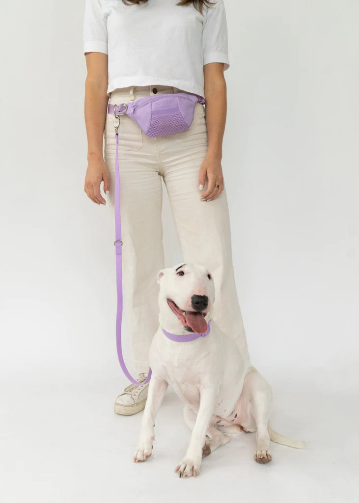 Springer Lilac Sling Bag + Dog Lead Sticks & Socks Dog Lifestyle Store 