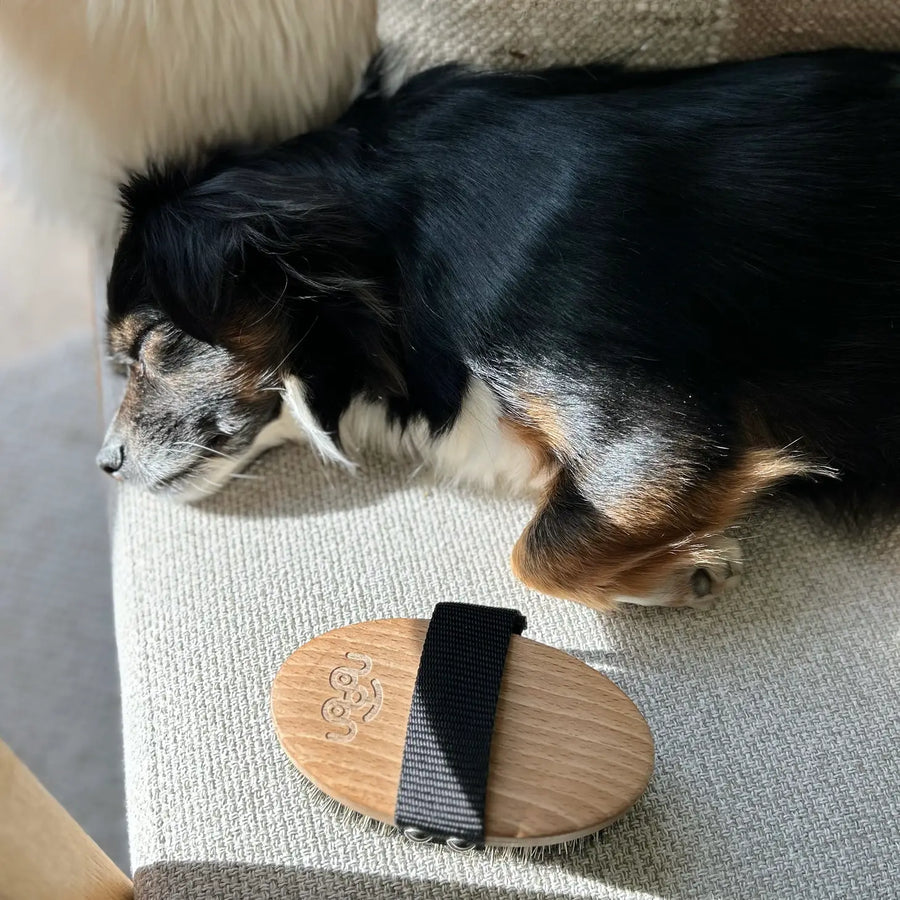 Natural Dog Massage Brush Sticks & Socks 