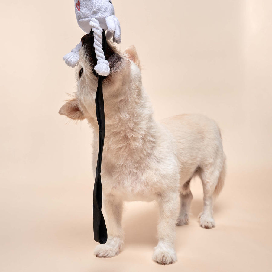 The Furryfolks Calamari Nosework Dog Toy Sticks & Socks Lifestyle Store