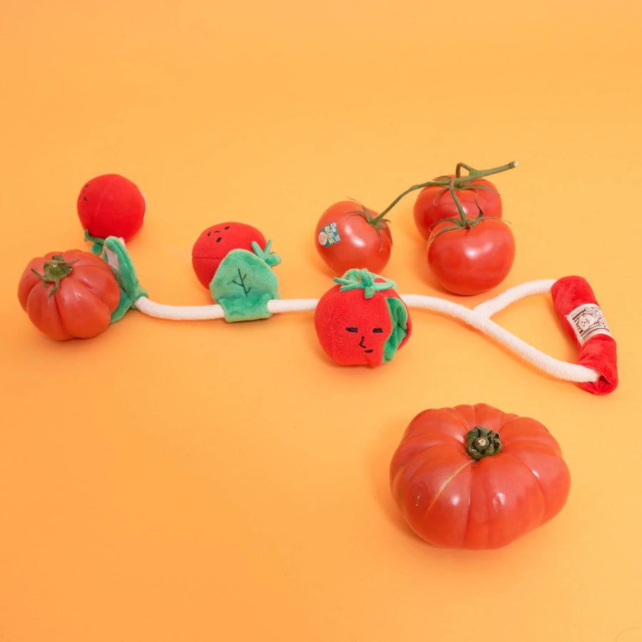 The Furryfolks Cherry Tomato Nosework & Tug Dog Toy Sticks & Socks Lifestyle Store