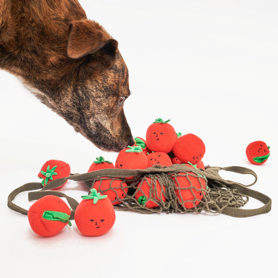 The Furryfolks Cherry Tomato Nosework & Tug Dog Toy Sticks & Socks Lifestyle Store