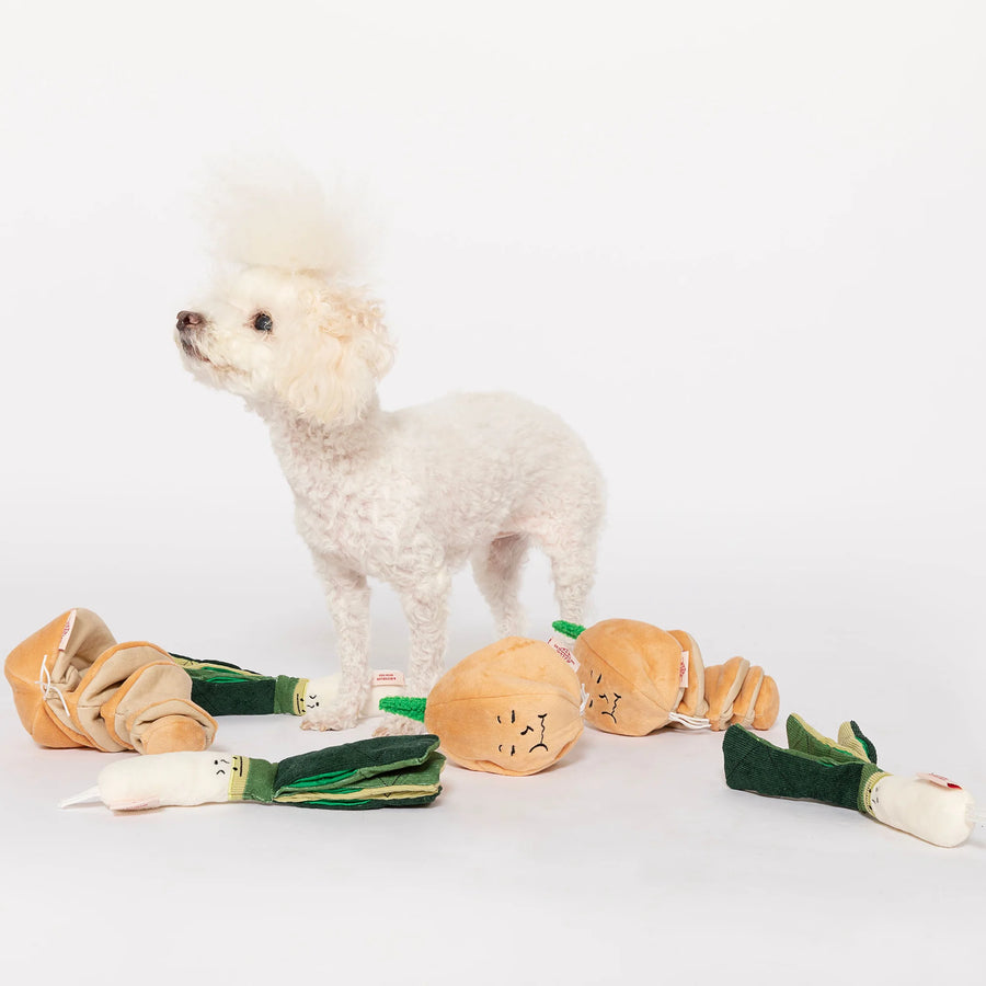 The Furryfolks Green Onion Nosework Dog Toy Sticks & Socks Dog Lifestyle Store Dog Shop
