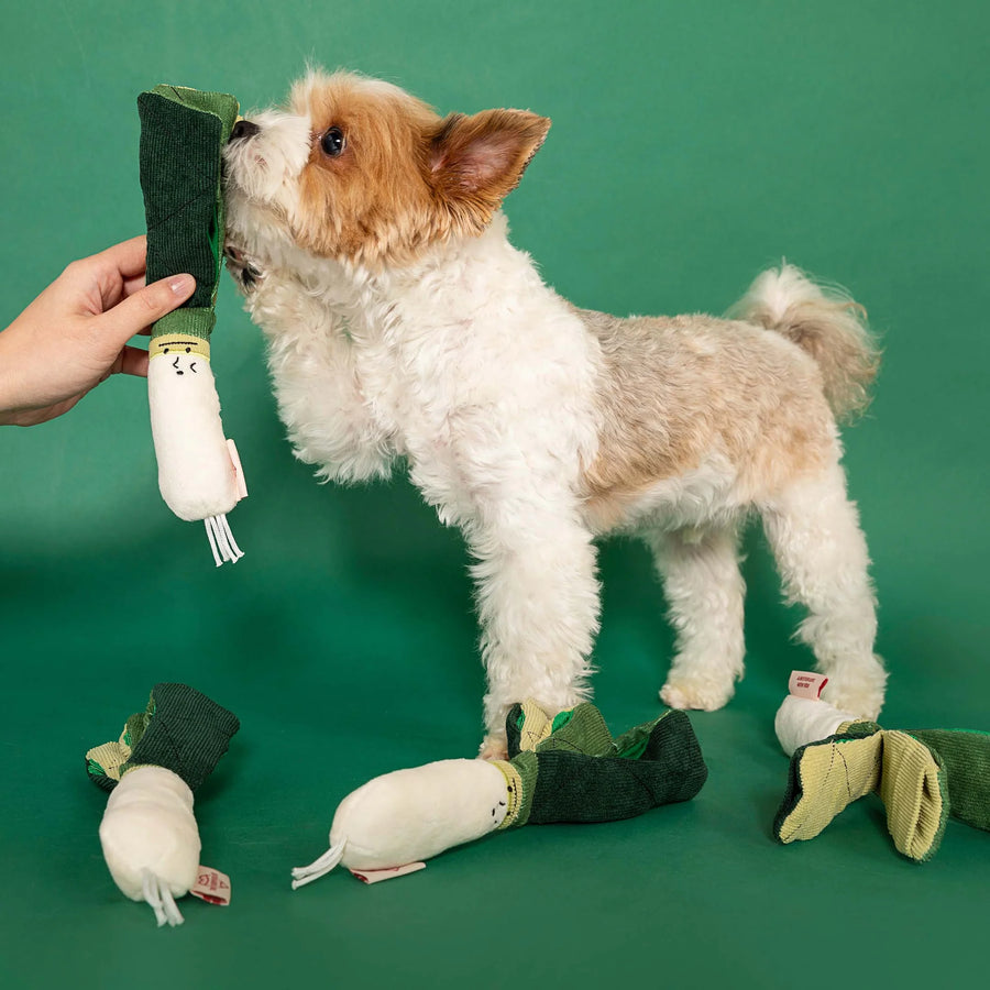 The Furryfolks Green Onion Nosework Dog Toy Sticks & Socks Dog Lifestyle Store Dog Shop