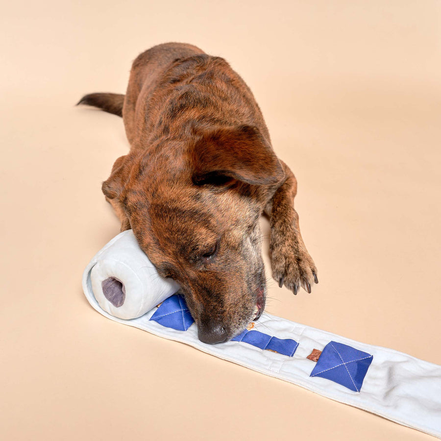 The Furryfolks Toilet Paper Nosework Dog Toy Sticks & Socks Lifestyle Store