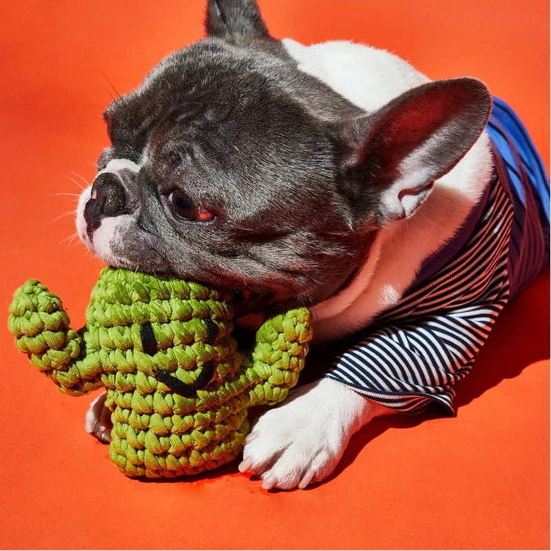 Ware of the Dog Cactus Dog Toy