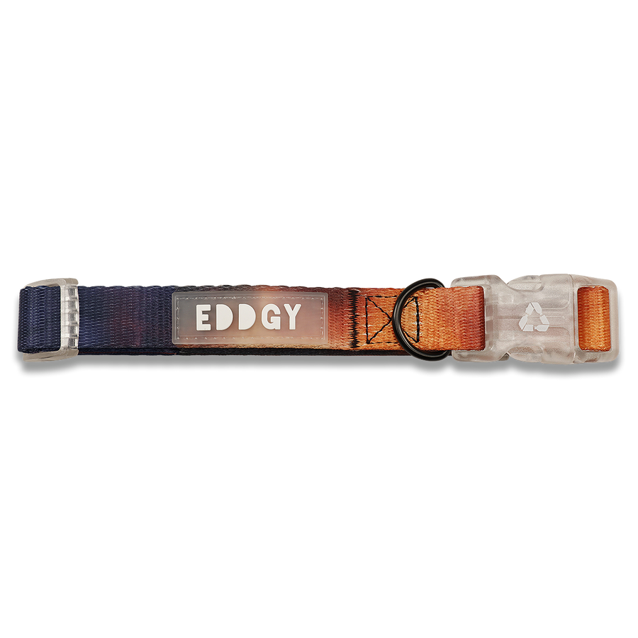 EDDGY 100% Recycled Bruce Dog Collar