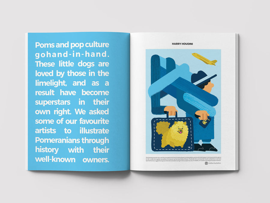 Dog Mag The Pomeranian