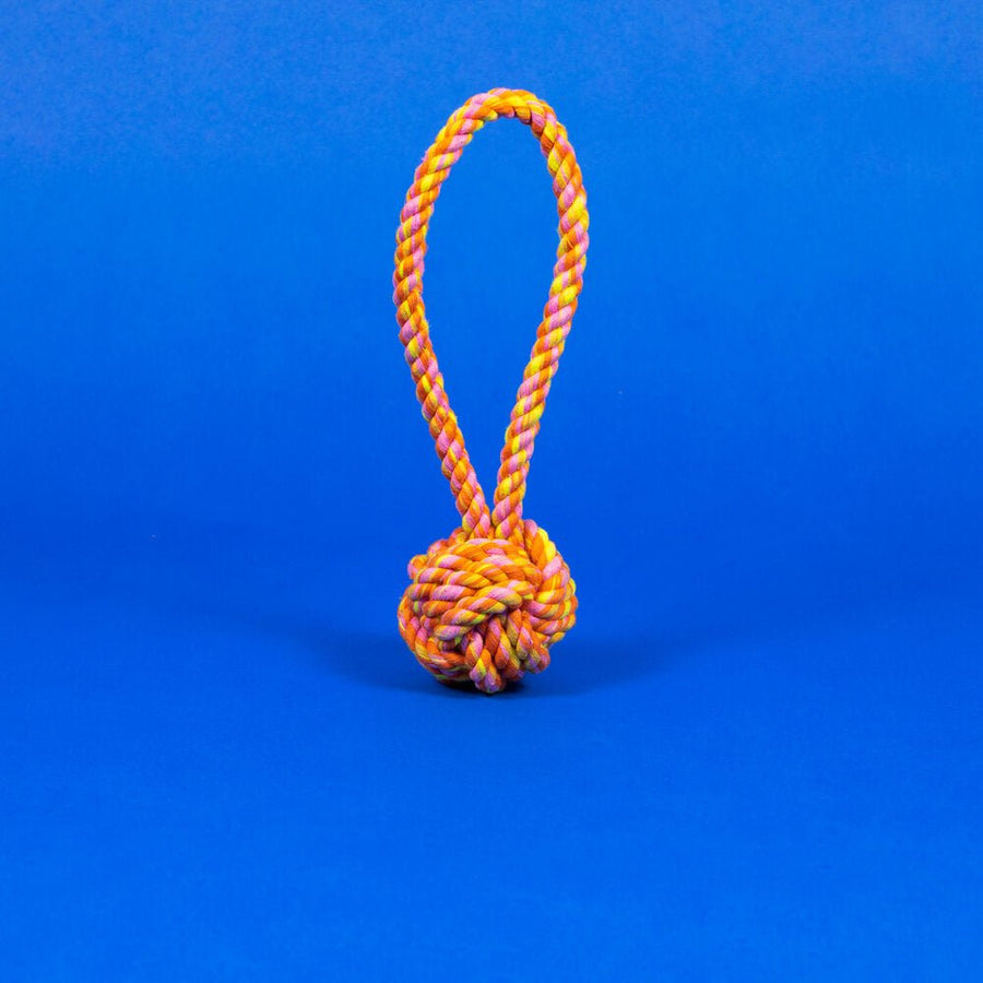 Ware of the Dog Rope Knot Toys