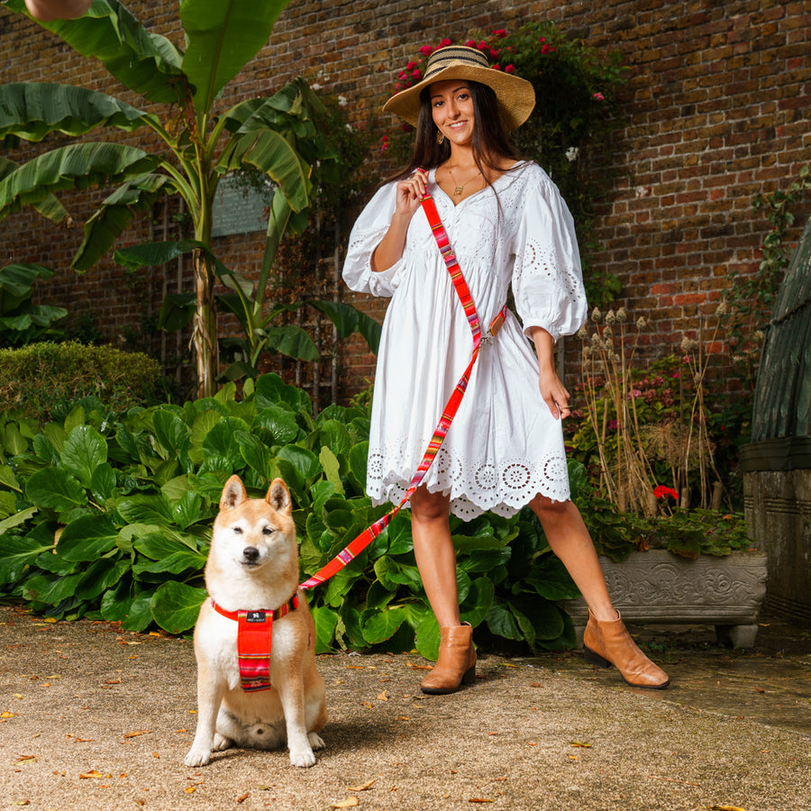 Hiro + Wolf Inca Orange Hands Free Dog Lead