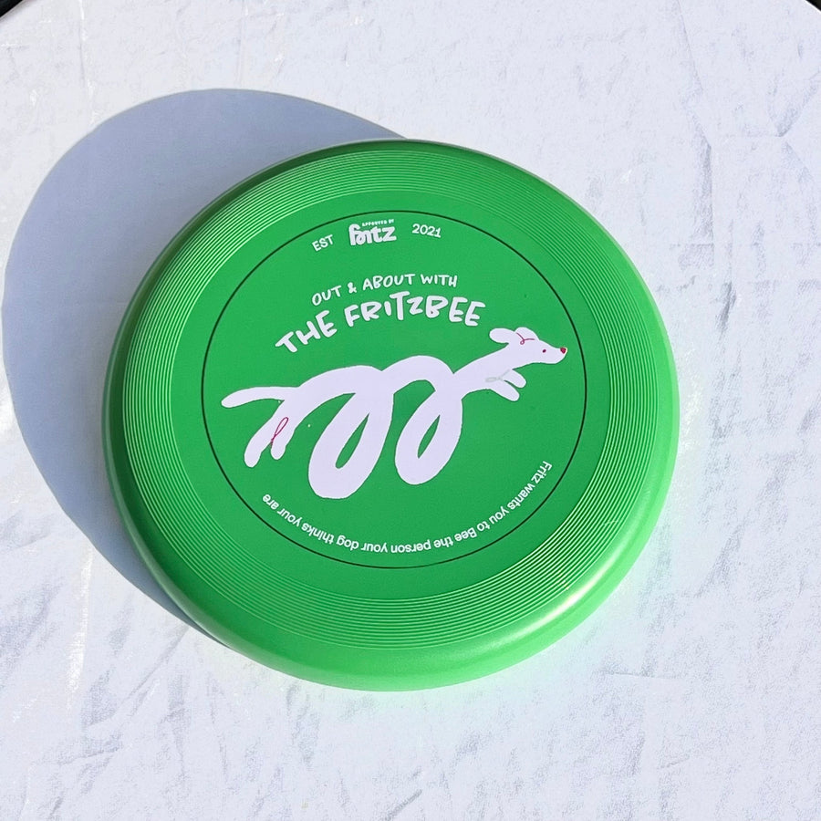 Dog Frisbee Amazon UK