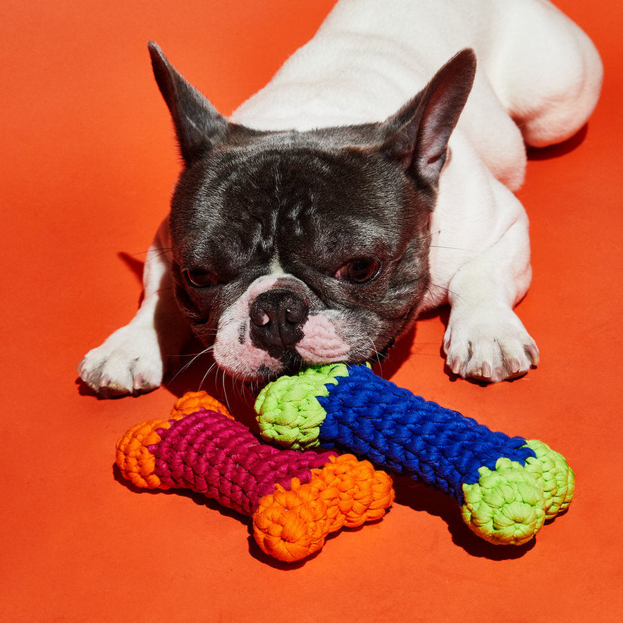 Ware of the Dog Crochet Bone Toy