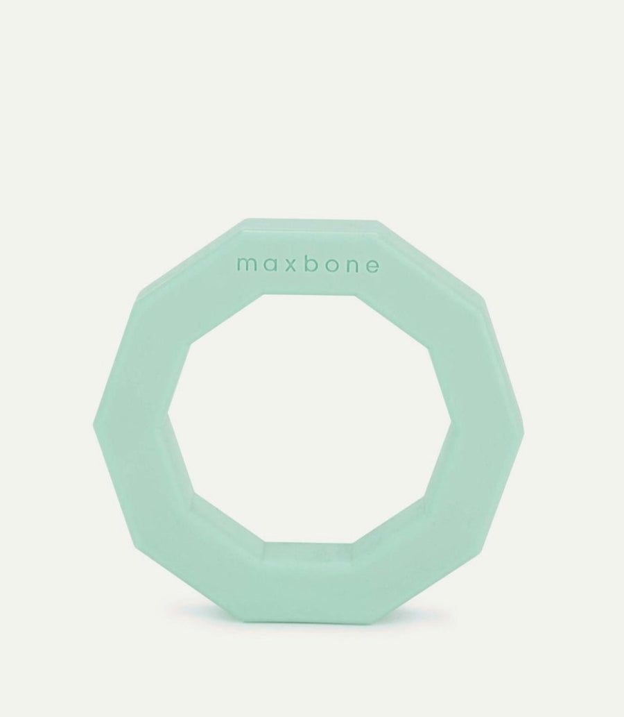 Maxbone Mint Decagon Dog Chew Toy