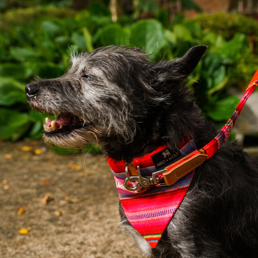 Hiro + Wolf Inca Orange Dog Bandana