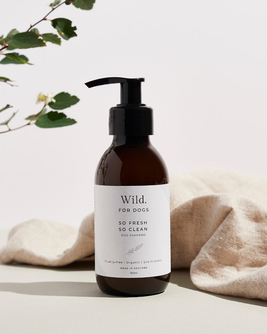 Wild For Dogs Organic Dog Shampoo The Sunday Times Style Gift Guide Sticks & Socks Luxury Dog Lifestyle Store