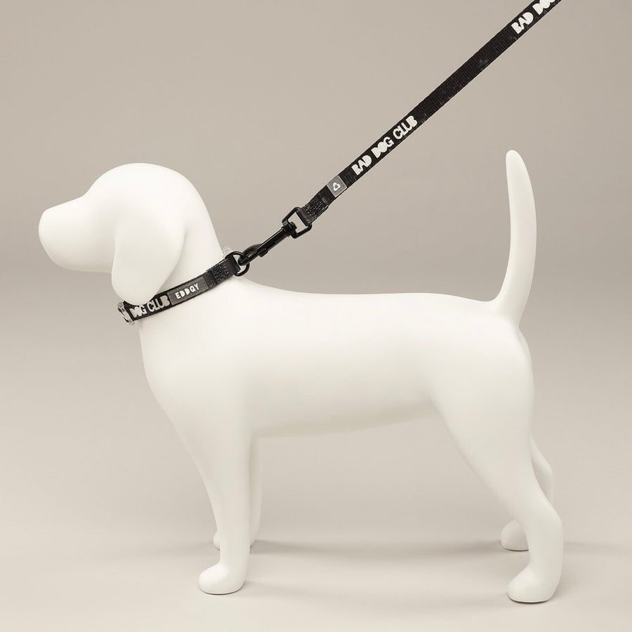 EDDGY 100% Recycled Bad Dog Club Dog Collar Sticks & Socks Dog Shop