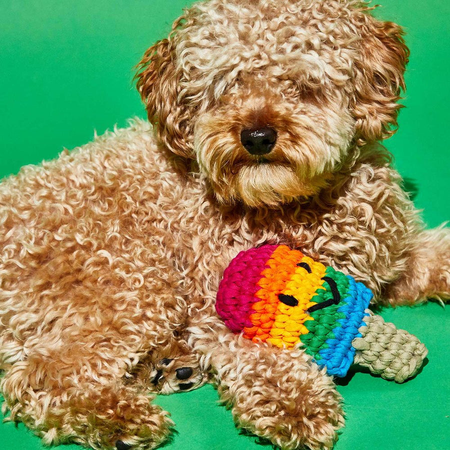 Ware of the Dog Crochet Rainbow Popsicle Toy