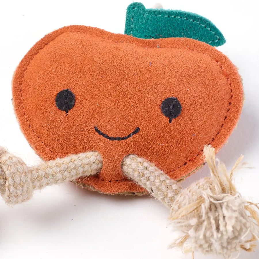 Green & Wilds Sancho the Satsuma Eco Dog Toy Sticks & Socks Ancoats