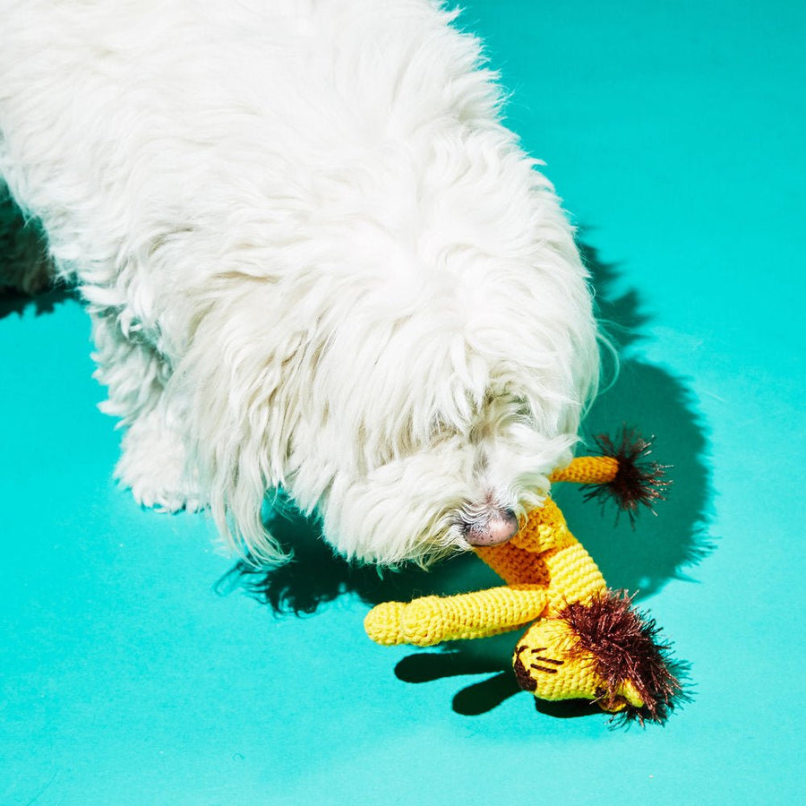 Ware Of The Dog Hand Crochet Organic Cotton Lion Toy