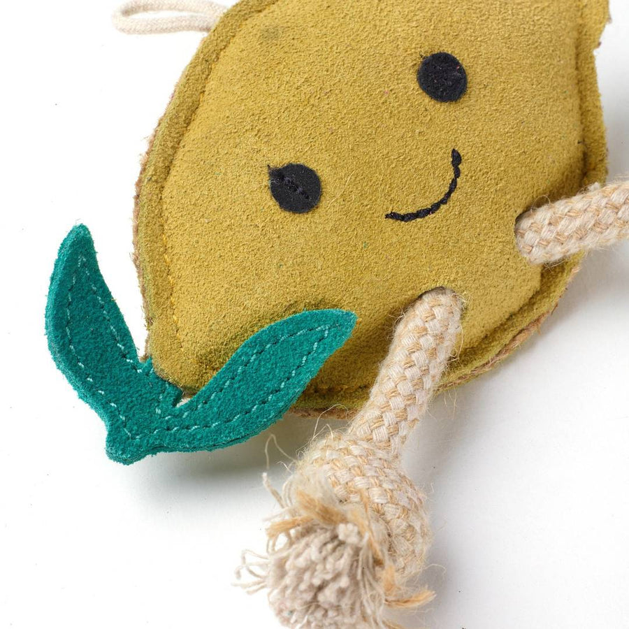 Green & Wilds Libby the Lemon Eco Dog Toy Sticks & Socks Ancoats  Manchester