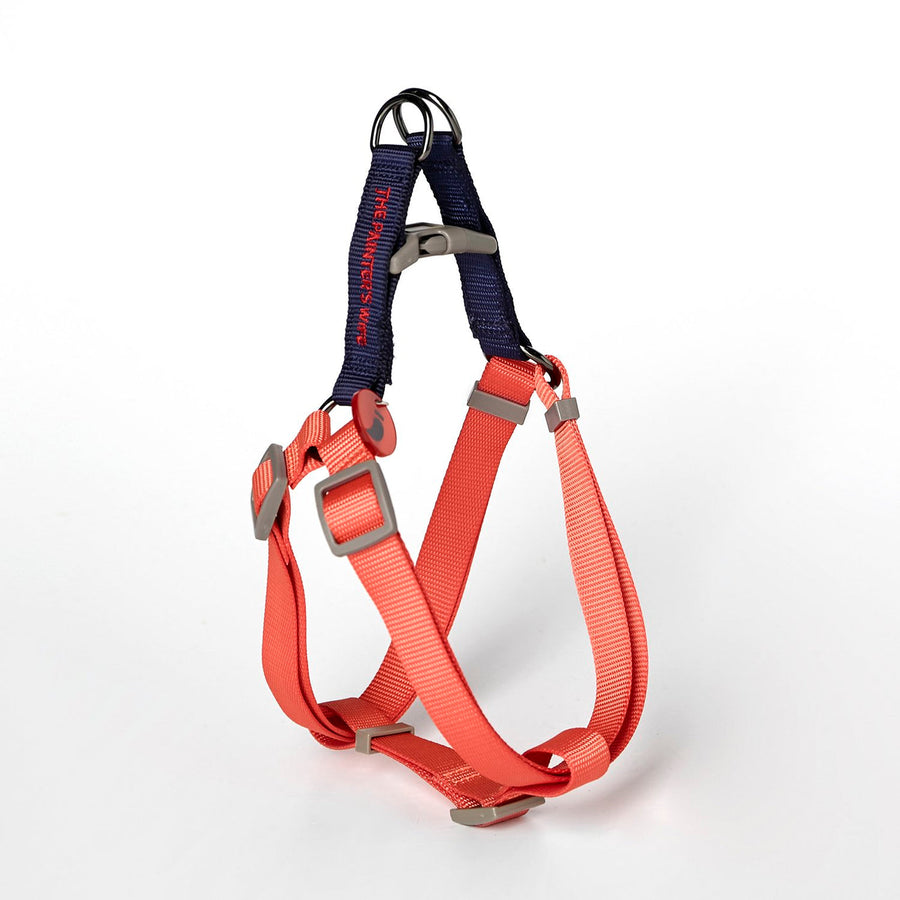 The Painter's Wife Sonia Dog Harness