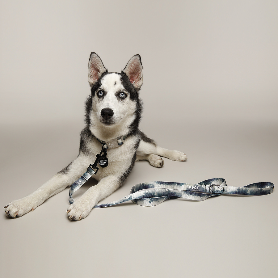 EDDGY 100% Recycled Skye Dog Lead