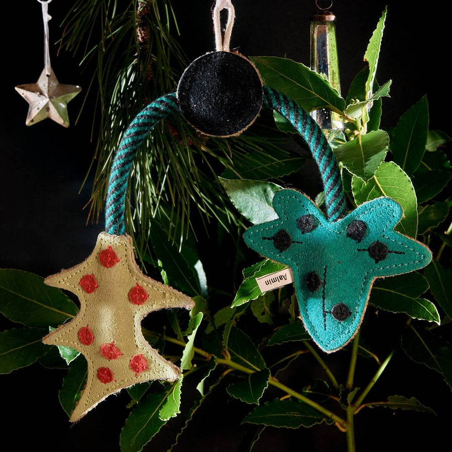 Green & Wilds The Holly and the Ivy Eco Dog Toy Sticks & Socks dog shop Christmas gift guide