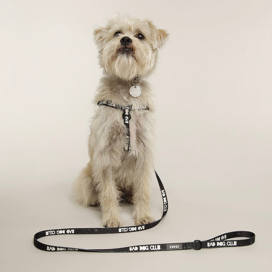 EDDGY 100% Recycled Bad Dog Club Dog Harness Sticks & Socks Dog Shop