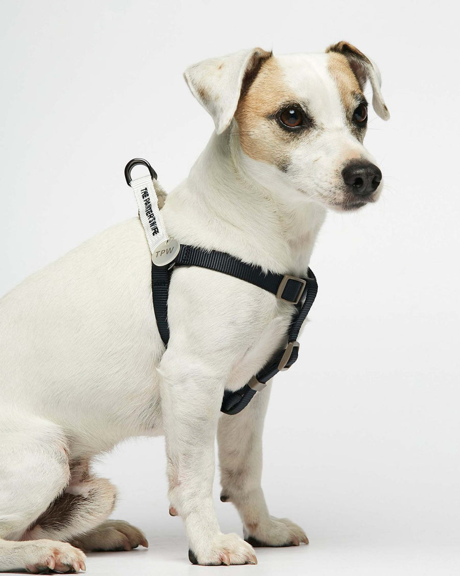 The Painter's Wife Sonia Dog Harness