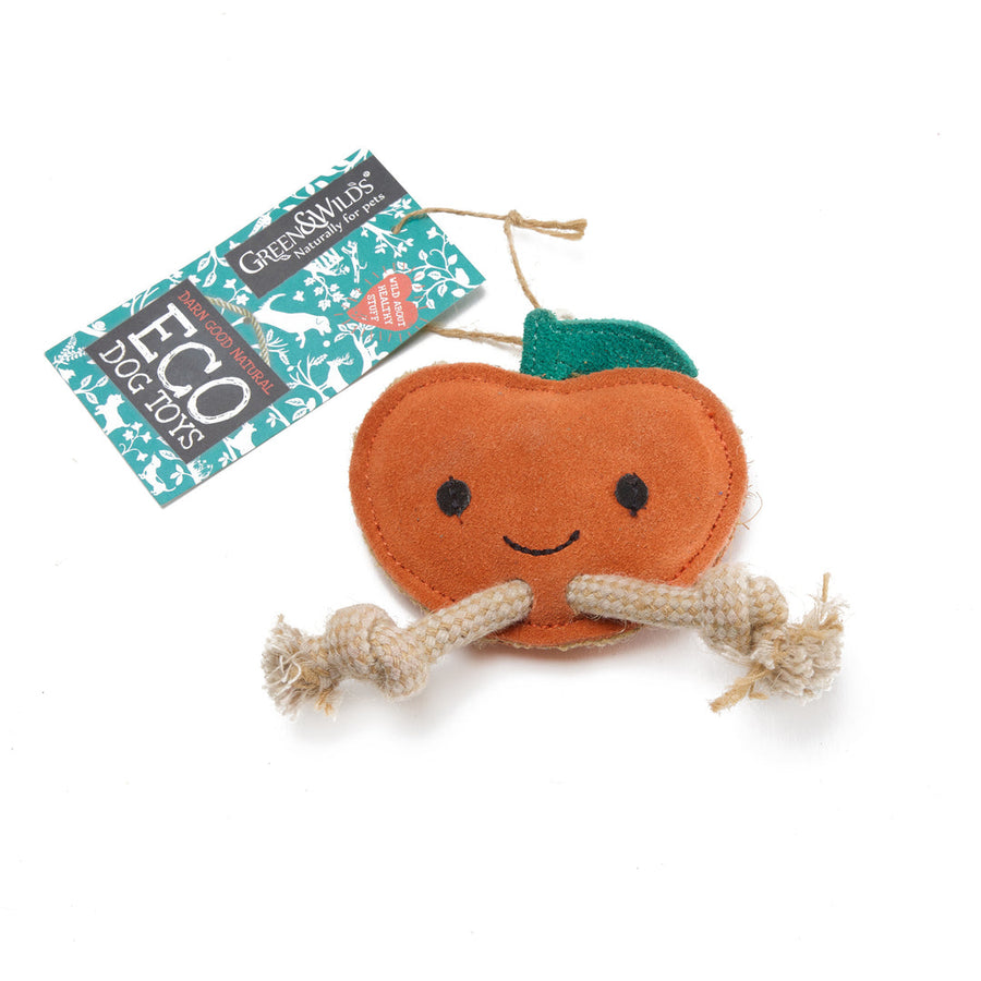 Green & Wilds Sancho the Satsuma Eco Dog Toy Sticks & Socks