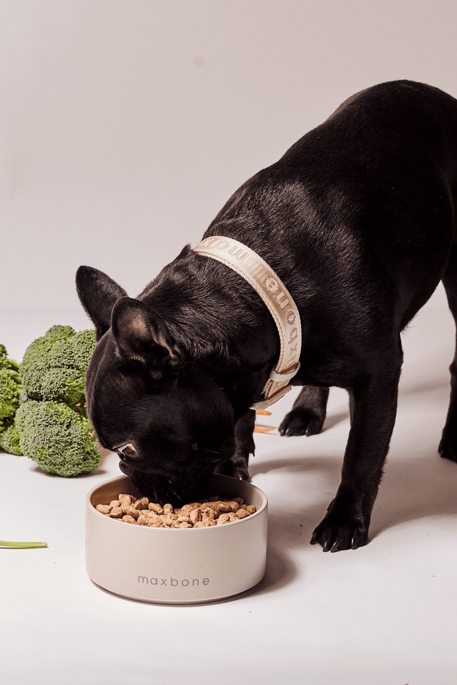 Maxbone Classic Ceramic Bowl